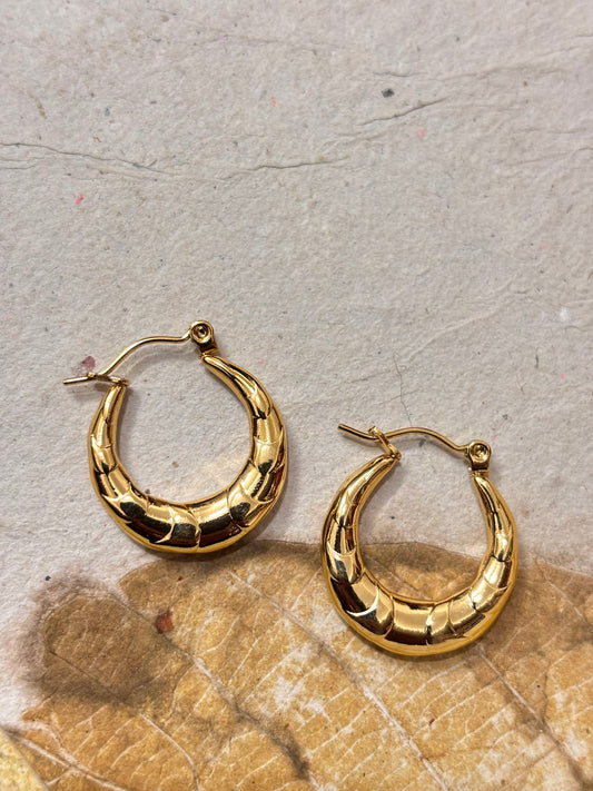 Croc Dome Hoops