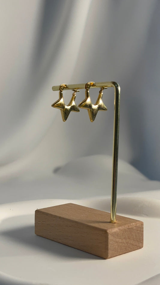 Golden Glow Star Drop Earrings
